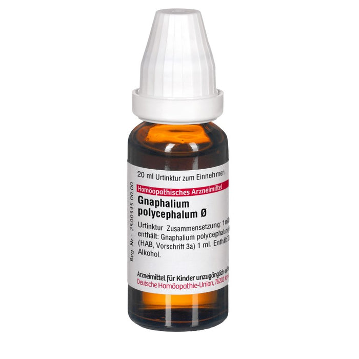 DHU Gnaphalium polycephalum Ø Urtinktur, 20 ml Solution