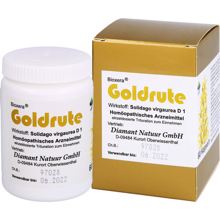 Goldrute Bioxera, 60 St KAP