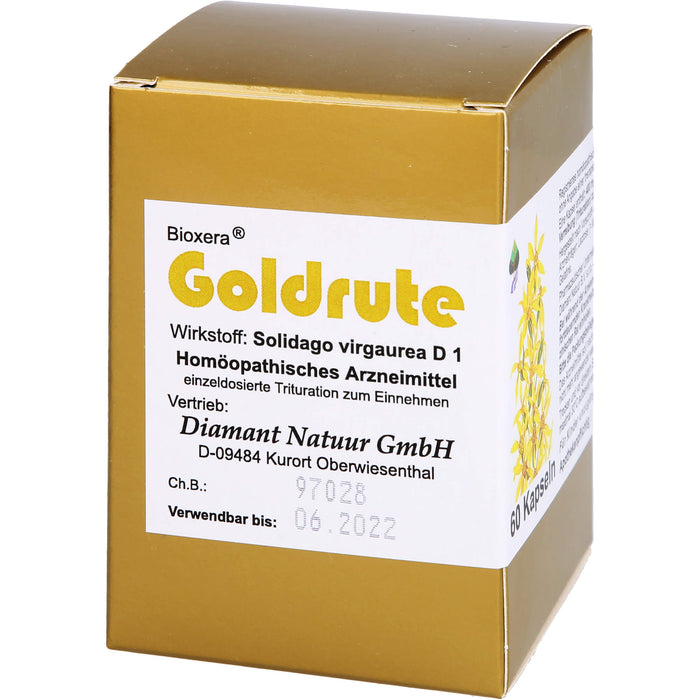 Goldrute Bioxera, 60 St KAP