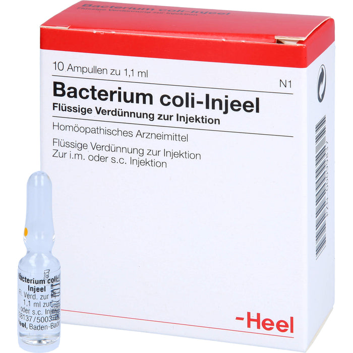 Bacterium coli-Injeel Inj.-Lsg., 10 pcs. Ampoules