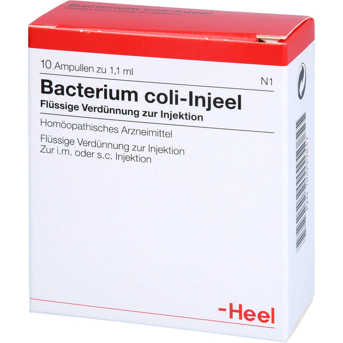 Bacterium coli-Injeel Inj.-Lsg., 10 pcs. Ampoules