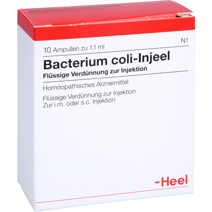 Bacterium coli-Injeel Inj.-Lsg., 10 pcs. Ampoules