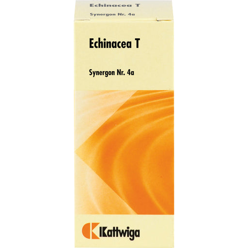 Synergon Komplex 4a Echinacea T Tabletten, 100 St TAB