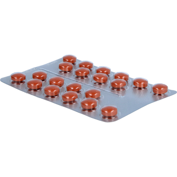 Umckaloabo 20 mg Filmtabletten, 60 pc Tablettes