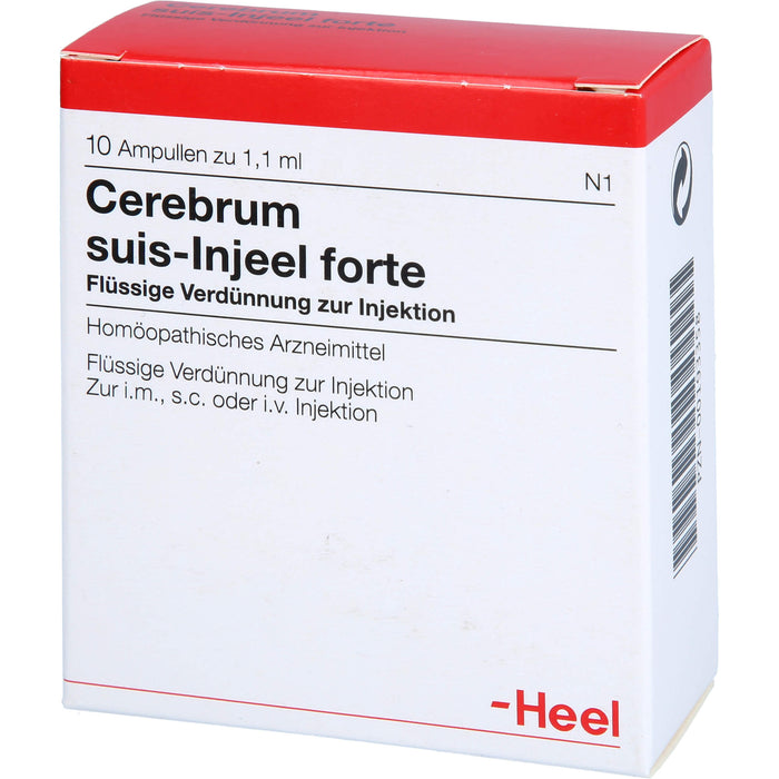 Cerebrum suis-Injeel forte flüssige Verdünnung, 10 St. Ampullen