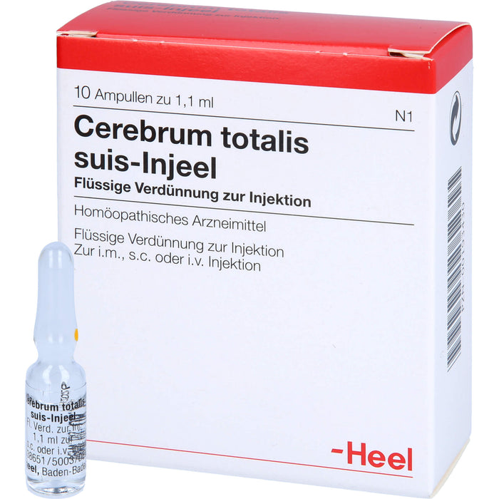 Cerebrum Totalis Suis Injeel Amp., 10 pcs. Ampoules