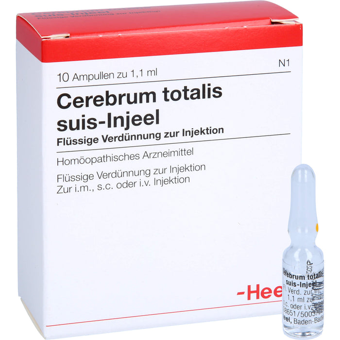 Cerebrum Totalis Suis Injeel Amp., 10 pcs. Ampoules