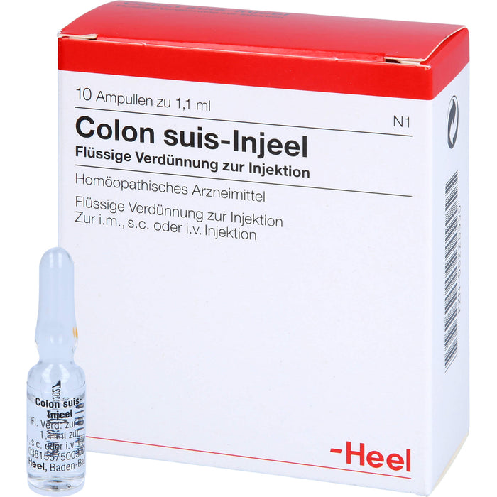 Heel Colon suis-Injeel flüssige Verdünnung, 10 pc Ampoules