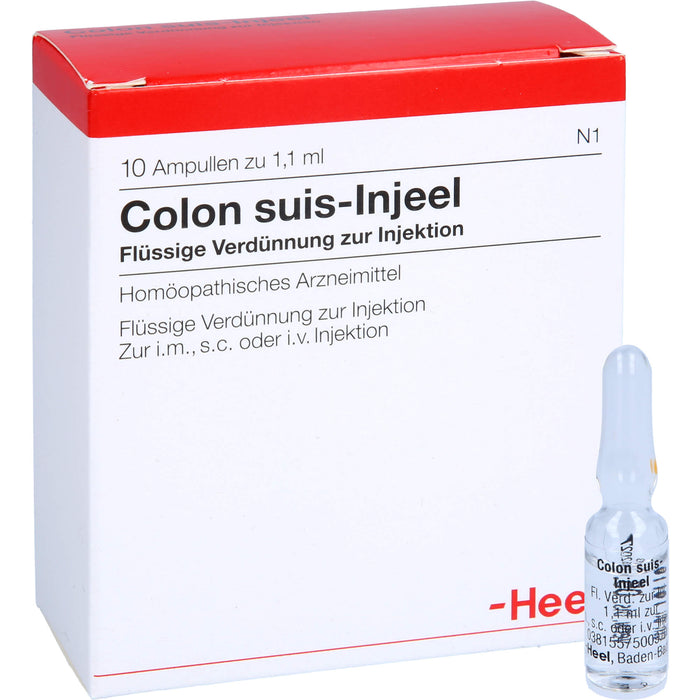 Heel Colon suis-Injeel flüssige Verdünnung, 10 pc Ampoules