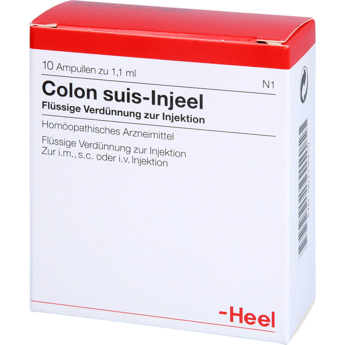 Heel Colon suis-Injeel flüssige Verdünnung, 10 pc Ampoules