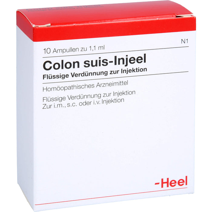 Heel Colon suis-Injeel flüssige Verdünnung, 10 pc Ampoules