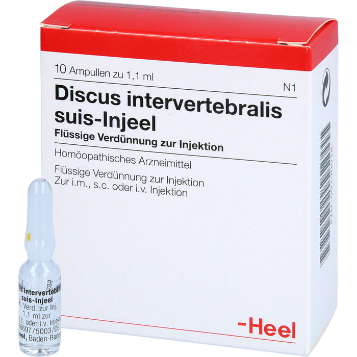 Heel Discus intervertebralis suis-Injeel flüssige Verdünnung, 10 pc Ampoules