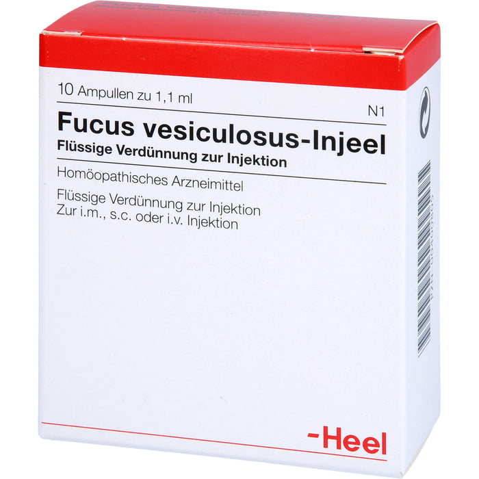 Fucus Vesiculosus Injeele Amp., 10 St AMP