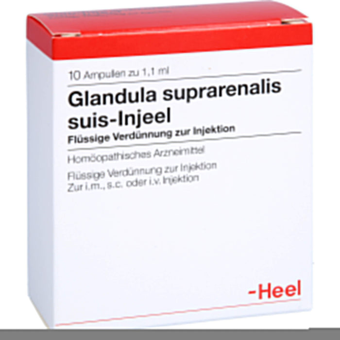 Glandula suprarenalis suis-Injeel Ampullen, 10 pc Ampoules