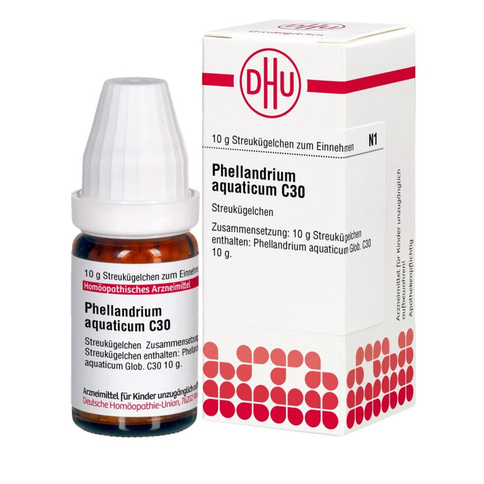 Phellandrium aquaticum C30 DHU Globuli, 10 g Globules