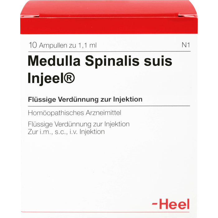 Medulla spinalis suis Injeel Amp., 10 St. Ampullen