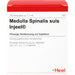 Medulla spinalis suis Injeel Amp., 10 St. Ampullen
