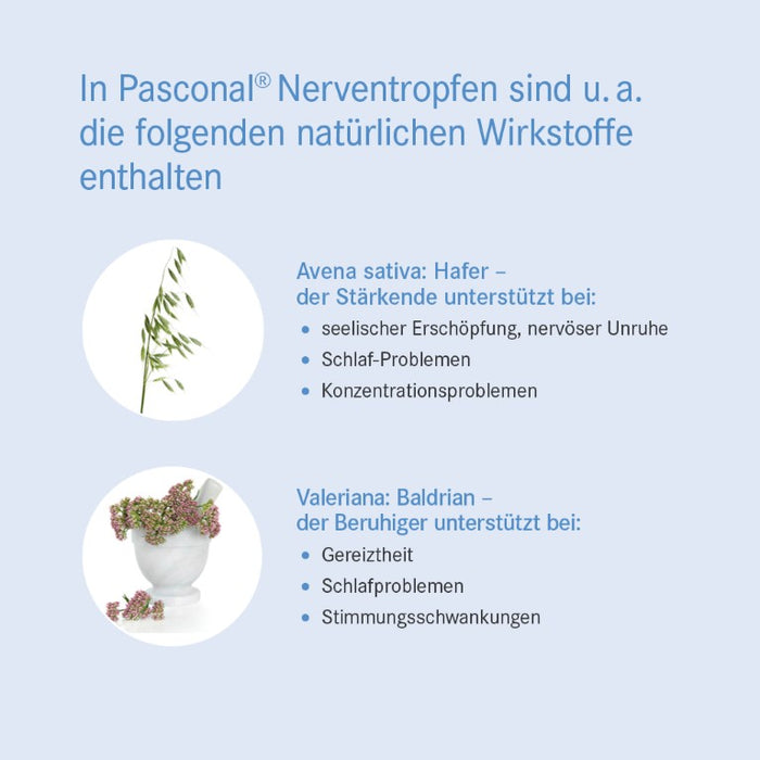 Pasconal Nerventropfen, 100 ml Solution