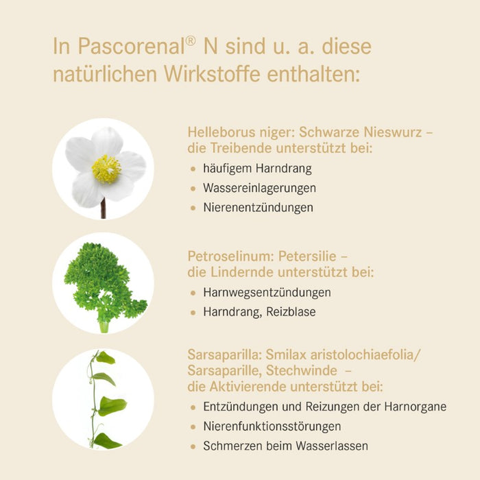 Pascorenal N Mischung bei Nierenfunktionsstörungen, 100 ml Solution