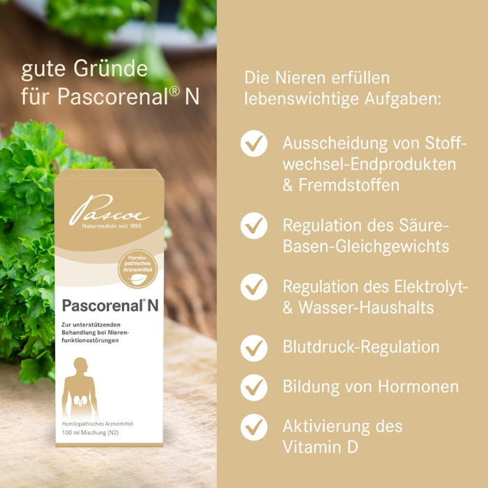 Pascorenal N Mischung bei Nierenfunktionsstörungen, 100 ml Lösung