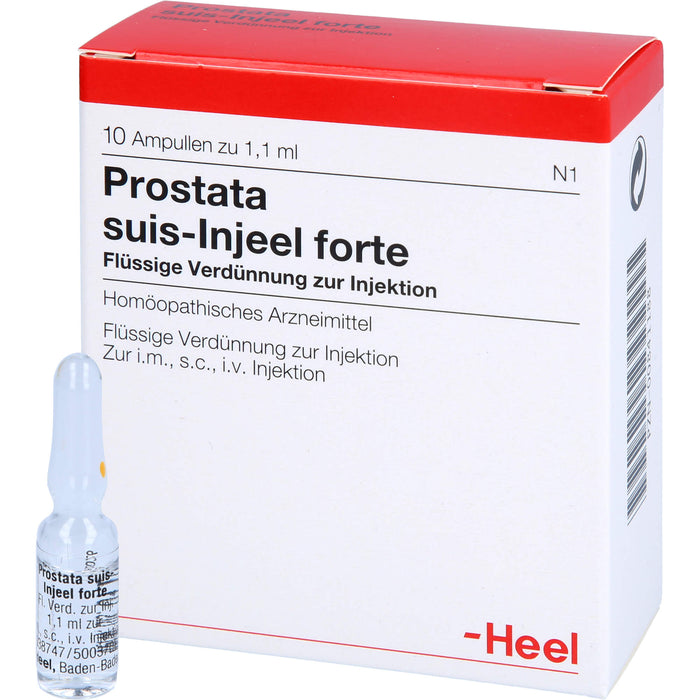 Prostata suis-Injeel forte Inj.-Lsg., 10 pcs. Ampoules