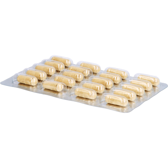 Certmedica Grünlipp-Muschelkonzentrat Gelatinekapseln, 180 St. Kapseln