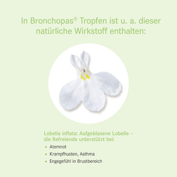Pascoe Bronchopas Tropfen bei krampfartigem Husten, 50 ml Solution
