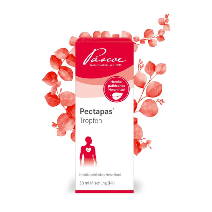 Pectapas Tropfen, 50 ml Solution