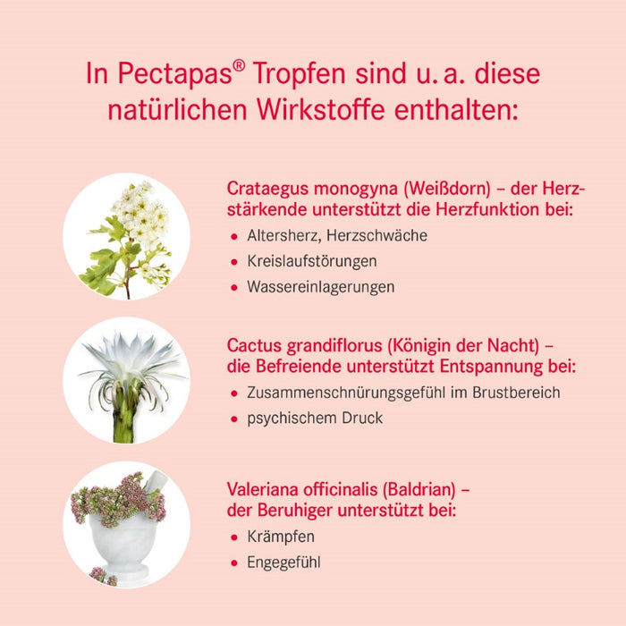 Pectapas Tropfen, 50 ml Solution