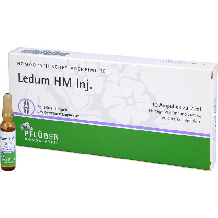 Pflüger Ledum HM Inj. flüssige Verdünnung bei Erkrankungen des Bewegungsapparates, 10 pcs. Ampoules