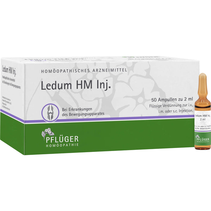Ledum HM Injekt Amp., 50 St AMP