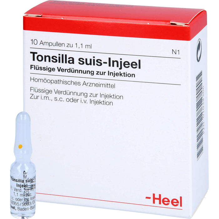 Tonsilla Suis-Injeel flüssige Verdünnung, 10 pc Ampoules