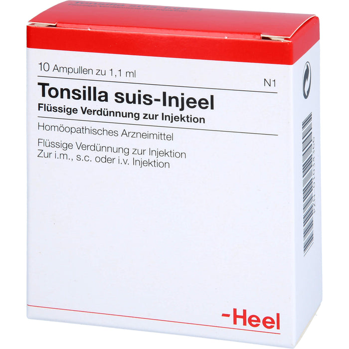 Tonsilla Suis-Injeel flüssige Verdünnung, 10 pc Ampoules
