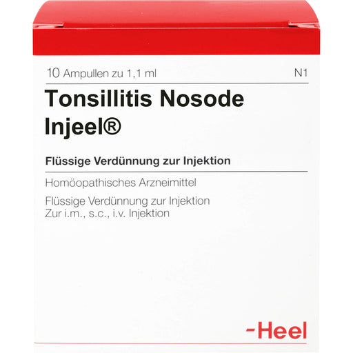 Heel Tonsillitis Nosode Injeel flüssige Verdünnung, 10 St. Ampullen