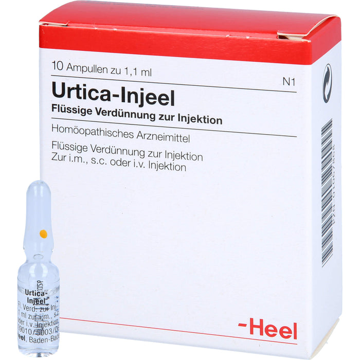 Heel Urtica Injeel flüssige Verdünnung, 10 pc Ampoules