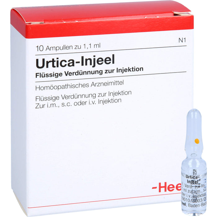 Heel Urtica Injeel flüssige Verdünnung, 10 pc Ampoules