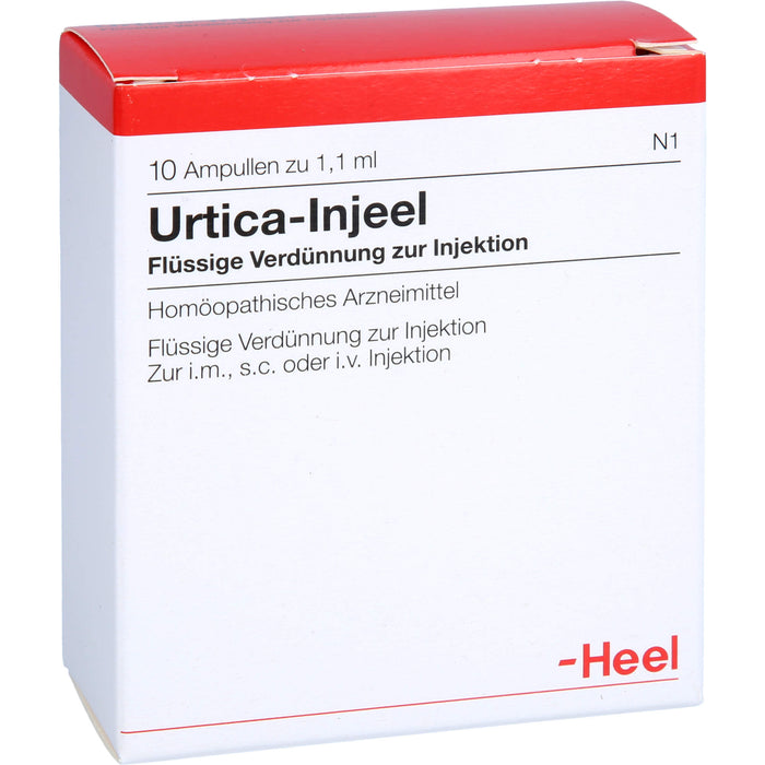Heel Urtica Injeel flüssige Verdünnung, 10 pc Ampoules
