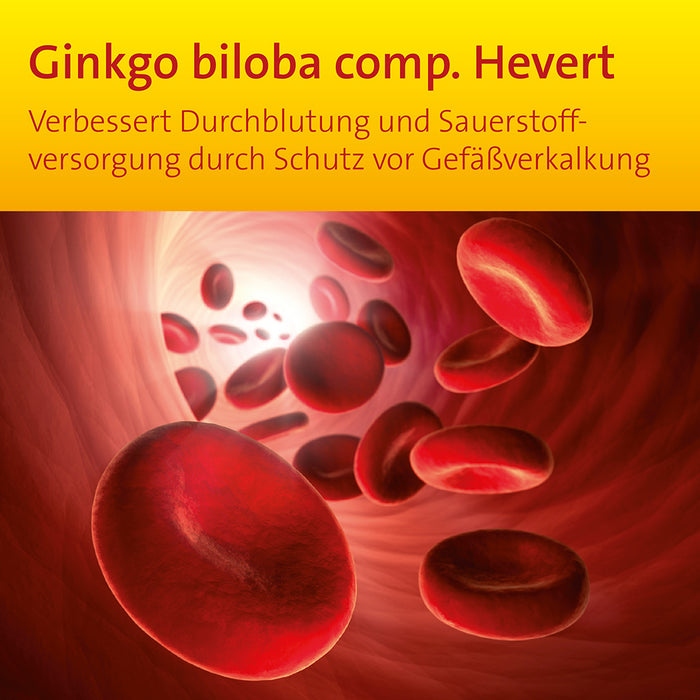 Ginkgo biloba comp. Hevert bei Gefäßverkalkung, 200 ml Solution