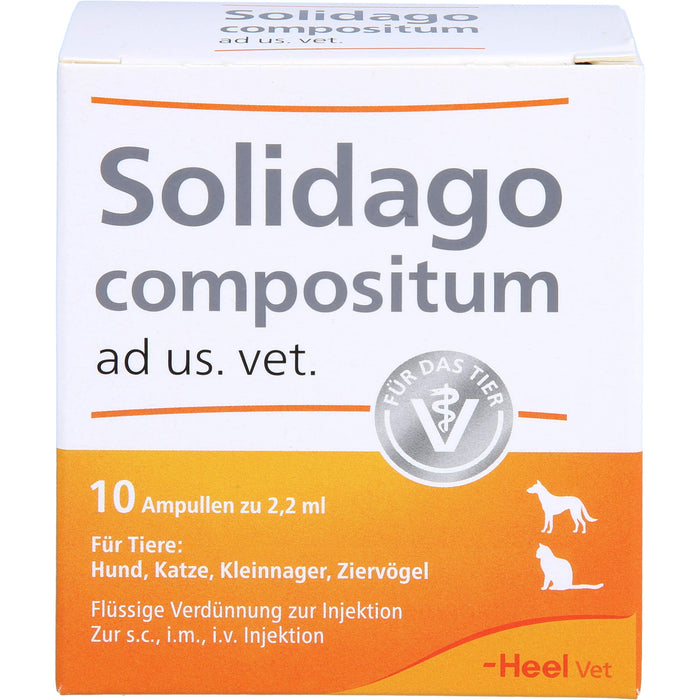 Solidago compositum ad us. vet. Ampullen für Tiere, 10.0 St. Ampullen
