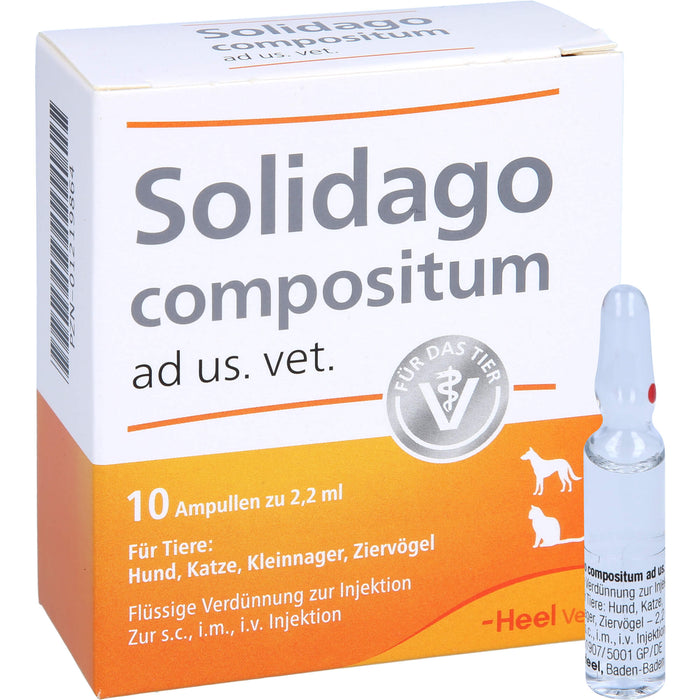 Solidago compositum ad us. vet. Ampullen für Tiere, 10.0 St. Ampullen