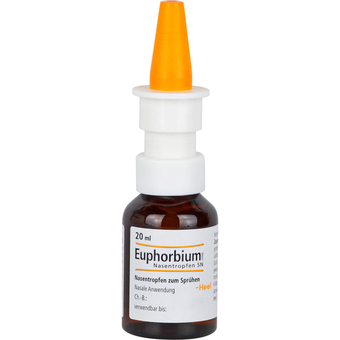 Euphorbium comp. Nasentropfen SN, 20 ml Solution