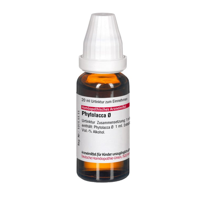 DHU Phytolacca Ø Urtinktur, 20 ml Solution