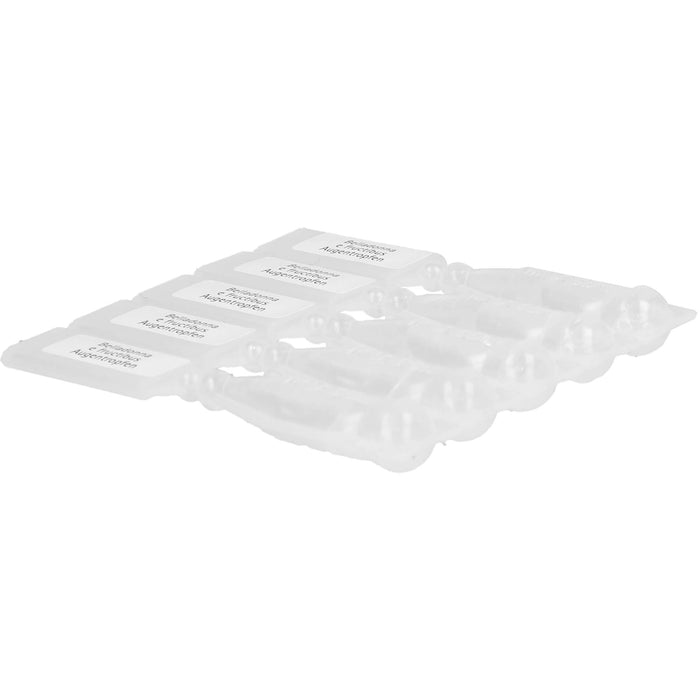 WALA Belladonna e fructibus Augentropfen, 30 pcs. Solution