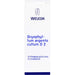 Bryophyllum Argento cultum D2 WELEDA Dil., 50