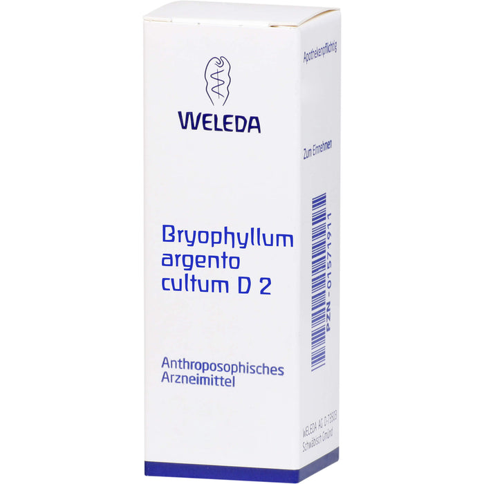 Bryophyllum Argento cultum D2 WELEDA Dil., 50 ml Solution