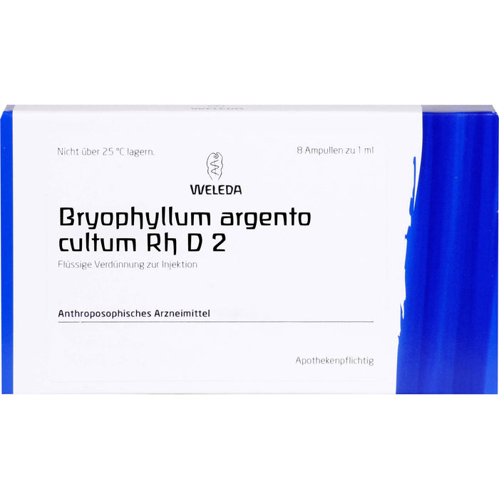 Bryophyllum Argento cultum Rh D2 Weleda Amp., 8X1 ml AMP