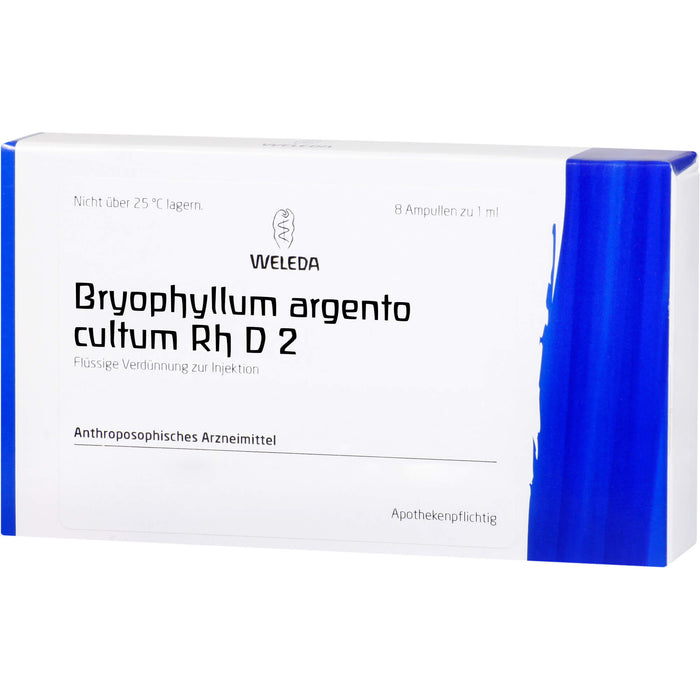 Bryophyllum Argento cultum Rh D2 Weleda Amp., 8X1 ml AMP