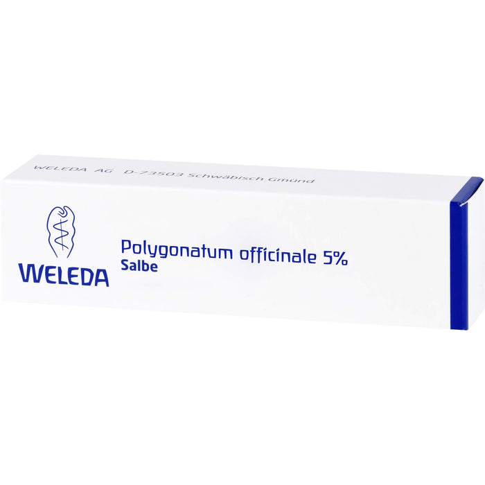 Polygonatum officinale 5% WELEDA Salbe, 25 g Onguent