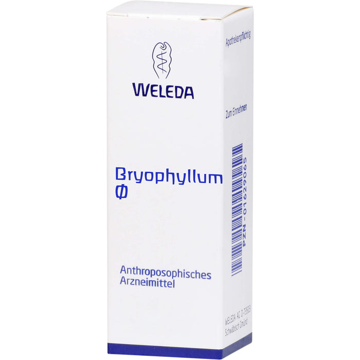 WELEDA Bryophyllum Urtinktur, 50 ml Solution