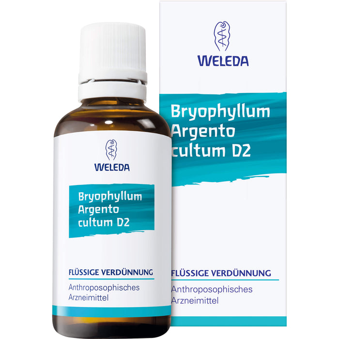Bryophyllum Argento cultum Rh D3 WELEDA Dil., 20 ml Lösung